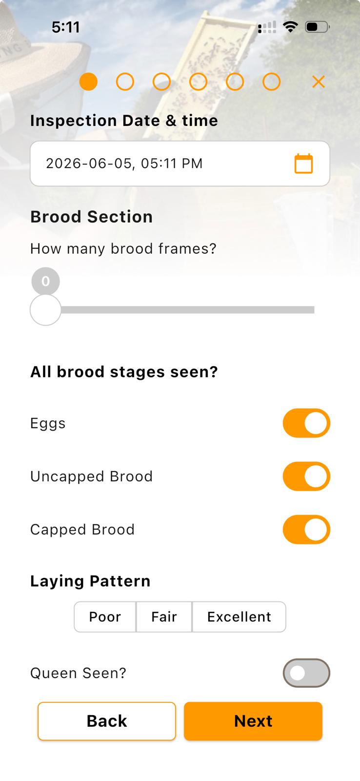 Mobile app screen 2