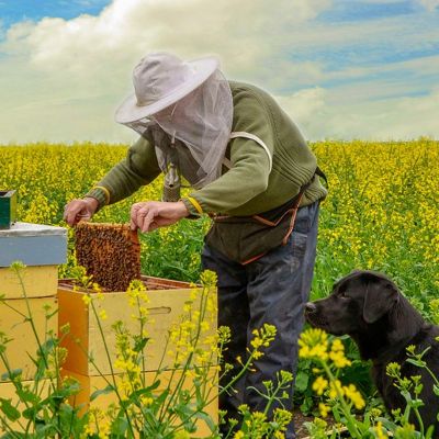 Beekeeper and a dog