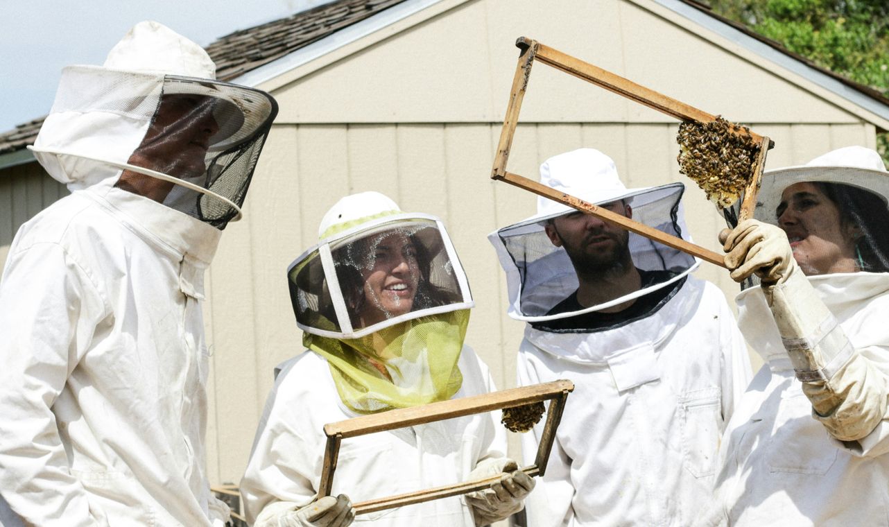 Group of beekeepers