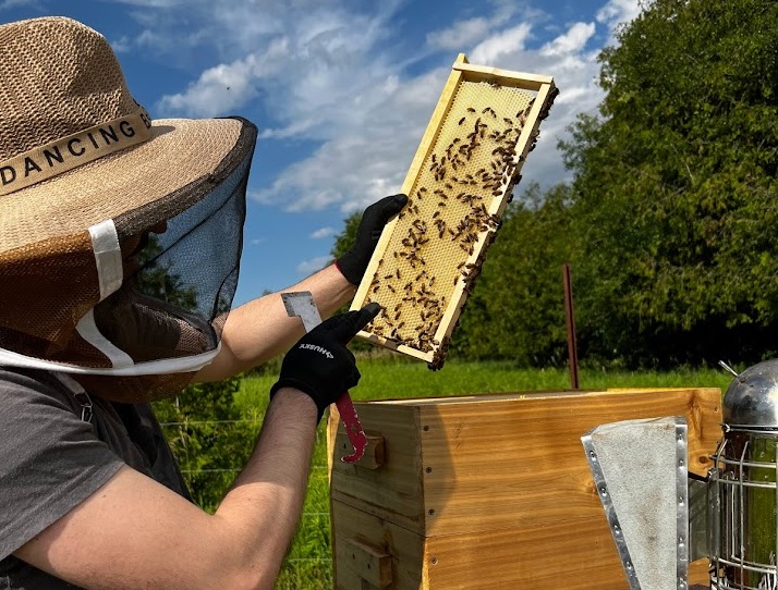 Beekeeping Canada